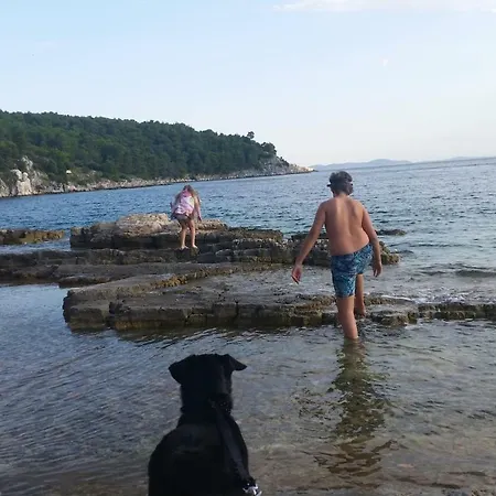 Holiday home Bobovisca, Old Stone House With Private Pool