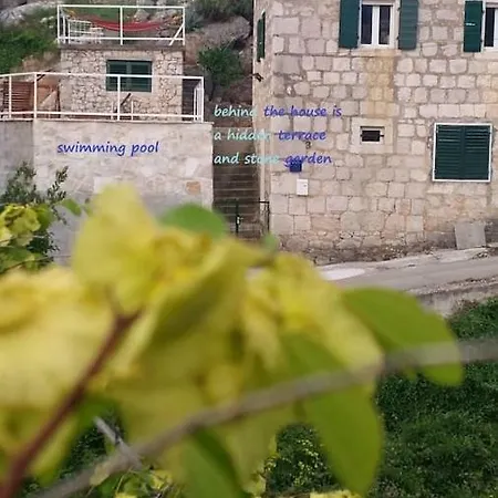 Bobovisca, Old Stone House With Private Pool Bobovišća